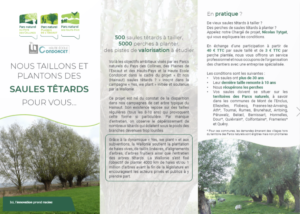 Brochure Et nos (Hainaut) saules têtards
