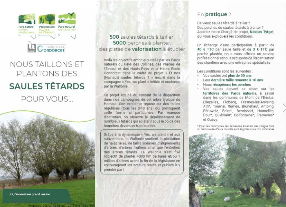 Brochure Et nos (Hainaut) saules têtards