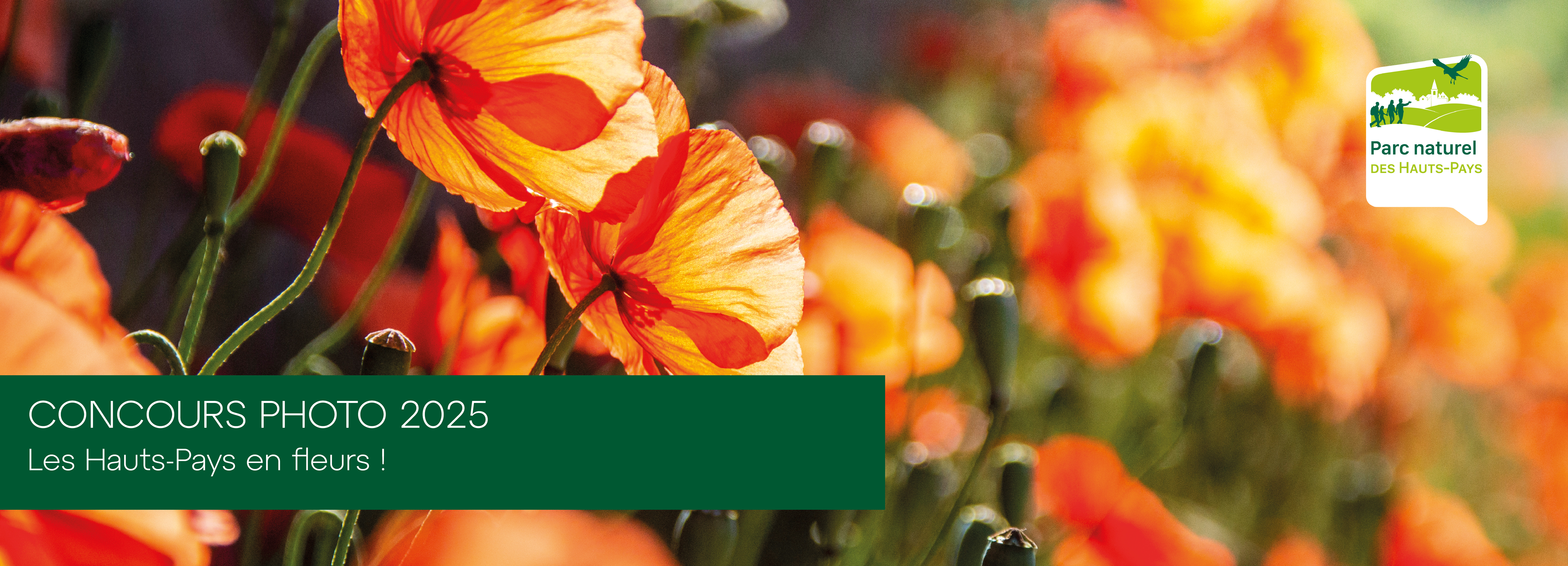 Bannière Concours photo